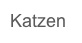 Katzen