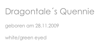 Dragontale´s Quennie
geboren am 28.11.2009
white/green eyed

