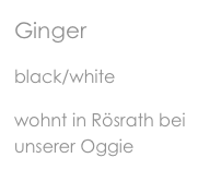 Ginger
black/white
wohnt in Rösrath bei unserer Oggie