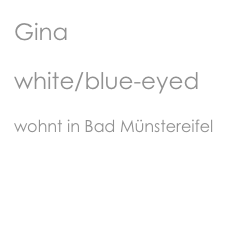 Gina
white/blue-eyed
wohnt in Bad Münstereifel